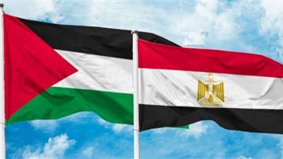 فيديو| تعرف على جهود مصر التاريخى فى القضية الفلسطينية