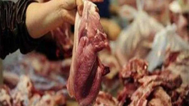 ضبط 39 طن لحوم ودواجن غير صالحة للاستهلاك بالجيزة