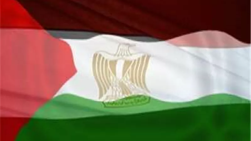 شاهد.. اهتمام القيادات المصرية بالقضية الفلسطينية