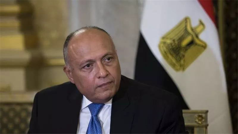 سامح شكري: المحادثات مع وزير الخارجية الإيطالي تطرقت حول الأوضاع في غزة |فيديو