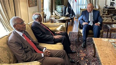 سامح شكري يستعرض مع نظيره الإريتري جهود مصر لوقف التصعيد في غزة