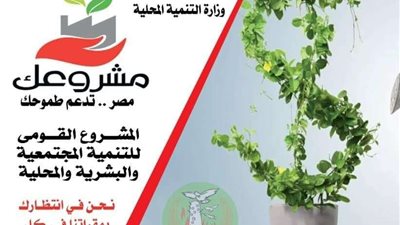 التنمية المحلية: توفير رؤوس الأموال اللازمة لفتح آفاق جديدة من خلال 