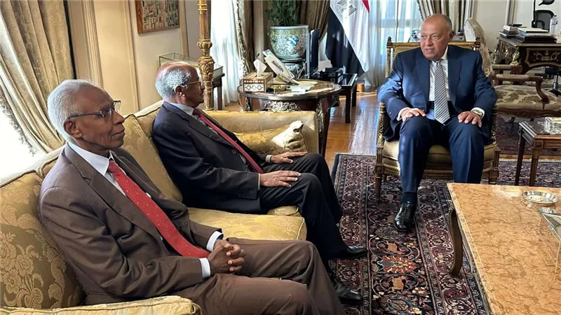 سامح شكري يستعرض مع نظيره الإريتري جهود مصر لوقف التصعيد في غزة