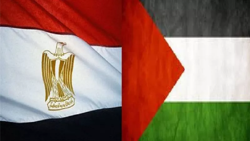 إصرار مصر على دعم الشعب الفلسطيني وإمداده بجميع المساعدات.. فيديو