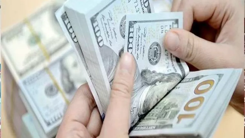 سعر الدولار  اليوم الثلاثاء 6-  7- 2021