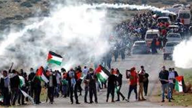 مدير شبكة المنظمات الأهلية الفلسطينية: أكثر من 80% من سكان غزة نزحوا داخل المدينة