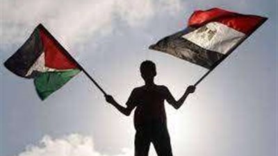 جهود مصر لوقف التصعيد الإسرائيلي وتقديم الدعم للشعب الفلسطيني.. فيديو