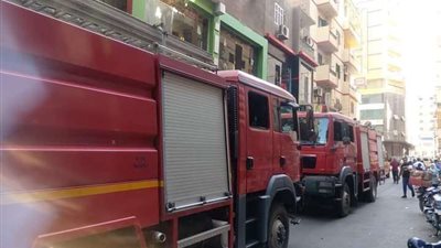 نفوق 145 رأس ماشية في حريق بالمنيا