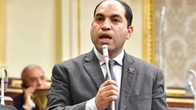 النائب عمرو درويش يُثمن ربط مصر خروج الأجانب من غزة بإيصال المساعدات للقطاع