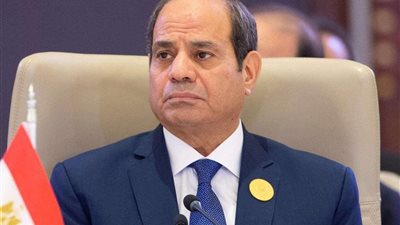 الرئيس السيسي: رد الفعل الإسرائيلي تجاوز مبدأ حق الدفاع عن النفس إلى العقاب الجماعي