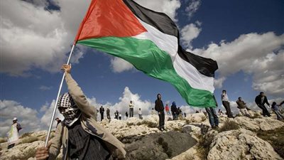 عمرو حمزاوي: الموقف المصري جاء شديد الوضوح في وجه سياسة أمريكية شديدة الانحياز |فيديو