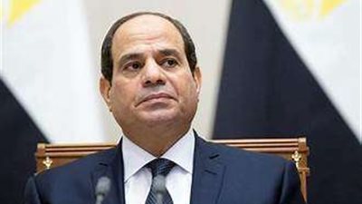 حامد فارس: الرئيس السيسي قدم روشته مصرية لكيفية إنهاء حالة الانسداد السياسي بفلسطين |فيديو