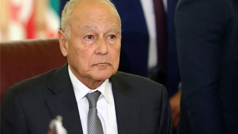 أبو الغيط: الحماقة الجنونية التي تتصرف بها إسرائيل وحالة السعار لآلة القتل ما هي إلا تجسيد لقبح الاحتلال ووحشيته