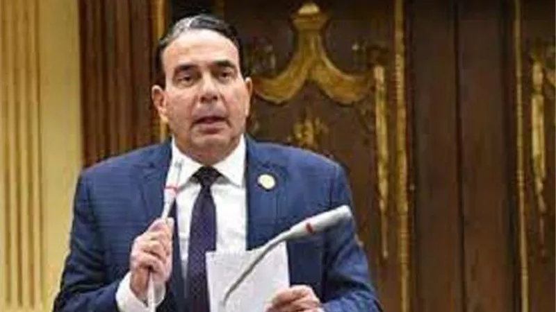 أبو العلا يطالب بإرسال لجنة تقصي حقائق إلى غزة لتوثيق المأساة