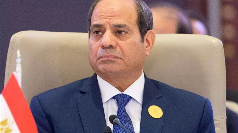 الرئيس السيسي: رد الفعل الإسرائيلي تجاوز مبدأ حق الدفاع عن النفس إلى العقاب الجماعي