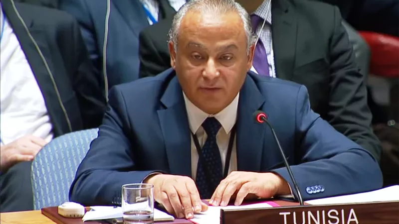 مندوب تونس بمجلس الأمن: لابد من اتفاق على استغلال موارد النيل دون إضرار بحقوق مصر والسودان