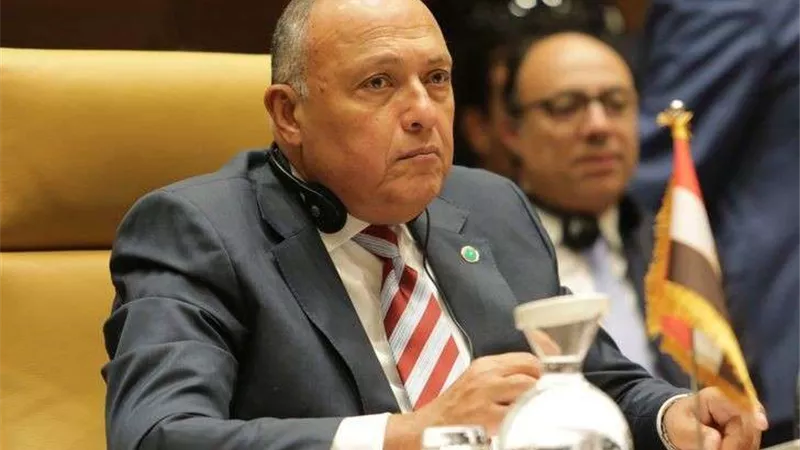 وزير الخارجية: مصر ستحمي وستصون حقها في مياه النيل