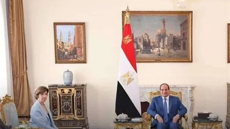 السيسي لوزيرة خارجية فرنسا: نرفض تعريض المدنيين لسياسات العقاب الجماعي من حصار وتجويع وتهجير