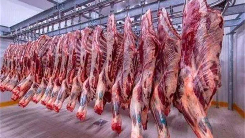 النقيب العام للجزارين: انخفاض أسعار اللحوم الكندوز بنسبة 5%