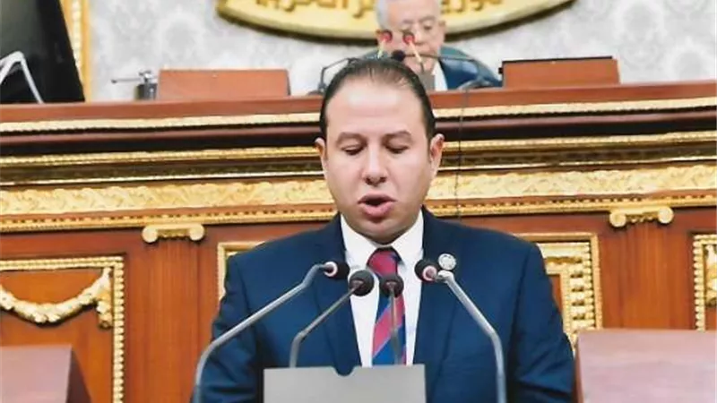 النائب حسن عمار: الرئيس السيسي تصدى بقوة لمخططات تهديد الأمن القومي المصري.. ويؤكد: التهجير الفلسطيني لـ