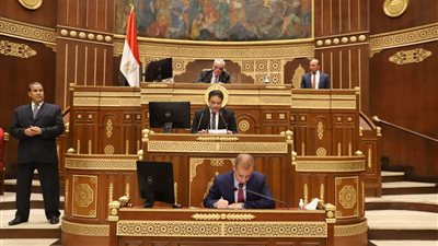 مجلس الشيوخ يقف دقيقة حداد على أرواح شهداء فلسطين
