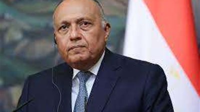 وزير الخارجية: نؤكد على ضرورة وقف الحرب الدائرة في غزة وإدخال المساعدات