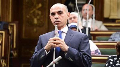 النائب محمد راضي بجلسة فلسطين: لن نسمح بعودة صفقة القرن من جديد