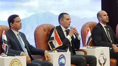 أمين عام حزب حماة وطن :مصر لن تسمح أبدًا بتهجير الشعب الفلسطيني إلى سيناء