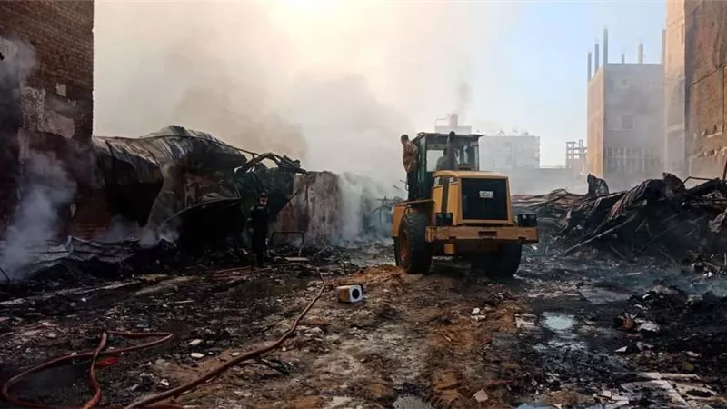 قبل العيد بأيام.. نفوق 12 رأس ماشية بالمنيا بسبب 