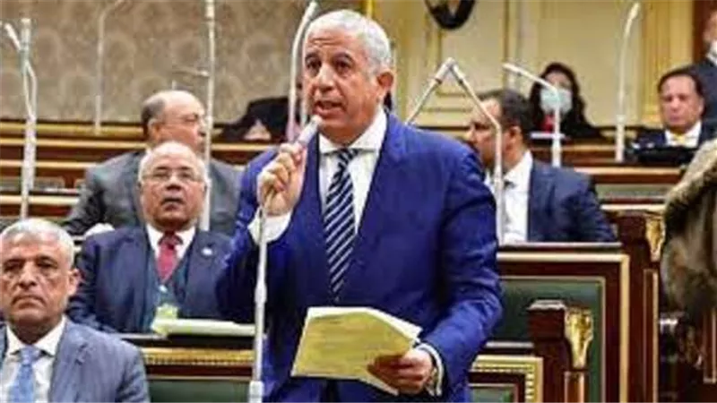 رئيس خارجية النواب بجلسة أحداث فلسطين: نقف خلف الرئيس السيسي لأن المؤامرة كبرى