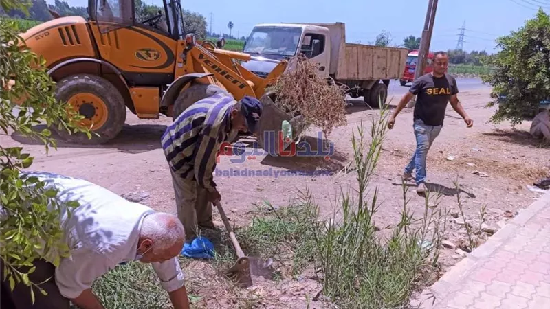 استجابة سريعة من محافظ الغربية لشكوى سكان منطقة نفيا