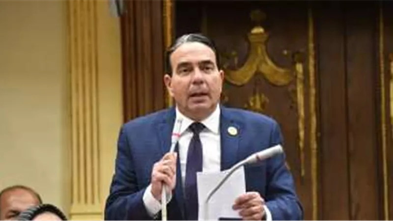 أيمن أبو العلا: ما يحدث في فلسطين انتهاك لحقوق الإنسان ونقض لكل العهود والمواثيق الدولية