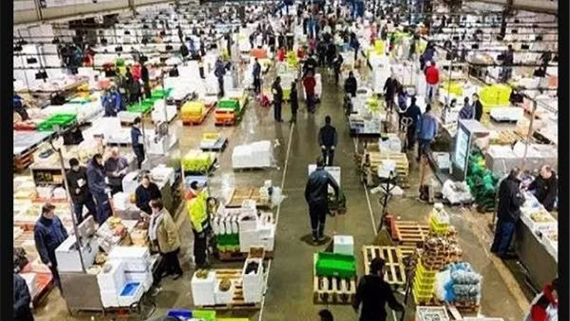 التموين تعلن الإنتهاء من الدراسة الفنية لإنشاء أسواق جملة من الجيل الثالث