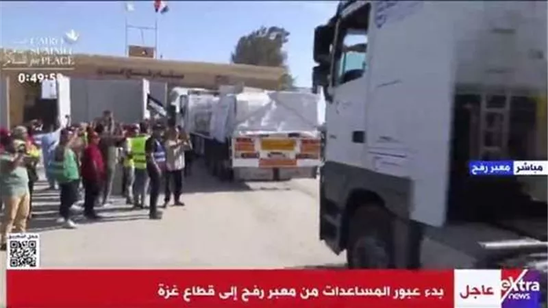 نجوم الفن في مصر يحتشدون لدعم وصول مساعدات في غزة