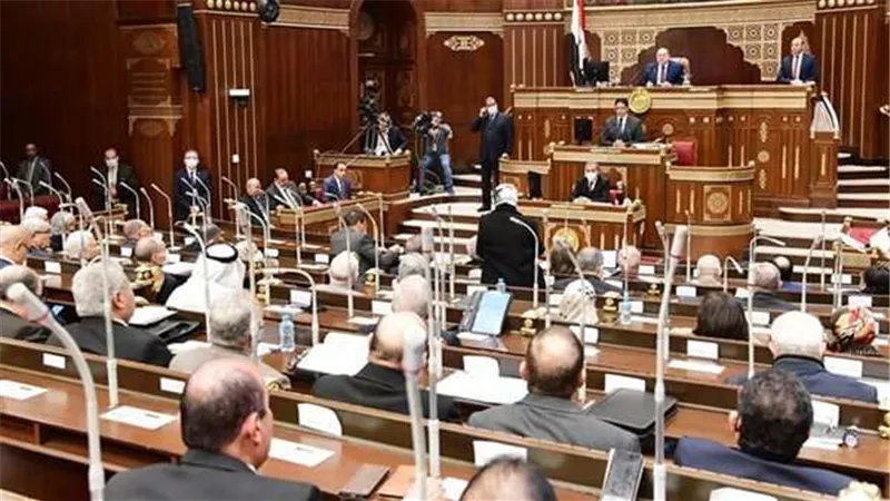 زراعة الشيوخ: كلمة السيسىي كشفت الستار عن الموقف الدولي المخزى تجاه القضية الفلسطينية