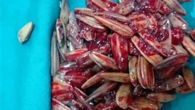 استخراج 