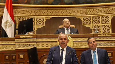 مجلس الشيوخ يفتتح جلسته العامة.. بعد قليل