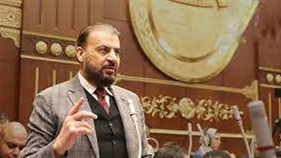 برلماني: الاستخدام الرشيد للأسمدة يسهم في زيادة الإنتاج الزراعي
