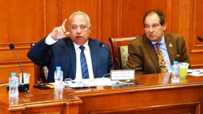 اليوم.. مناقشة دور المعهد القومي للتخطيط  أمام 