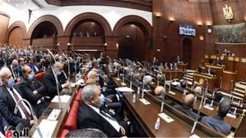 مجلس الشيوخ يناقش الجهود الرامية لتهدئة الأوضاع في غزة