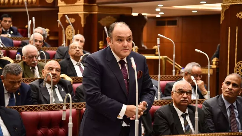 وزير الصناعة: سوق الأسمدة في مصر من القطاعات المهمة