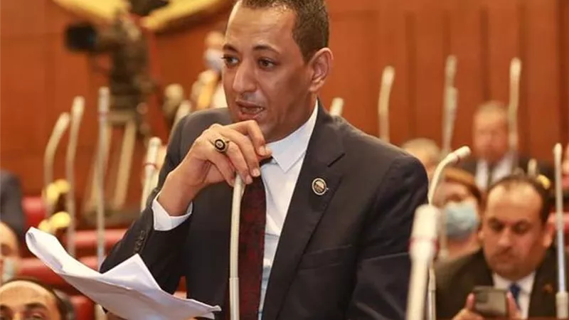 أسامة الهواري يطالب بتشريع يجرم تداول الأسمدة وغرامة مالية لردع السوق السوداء