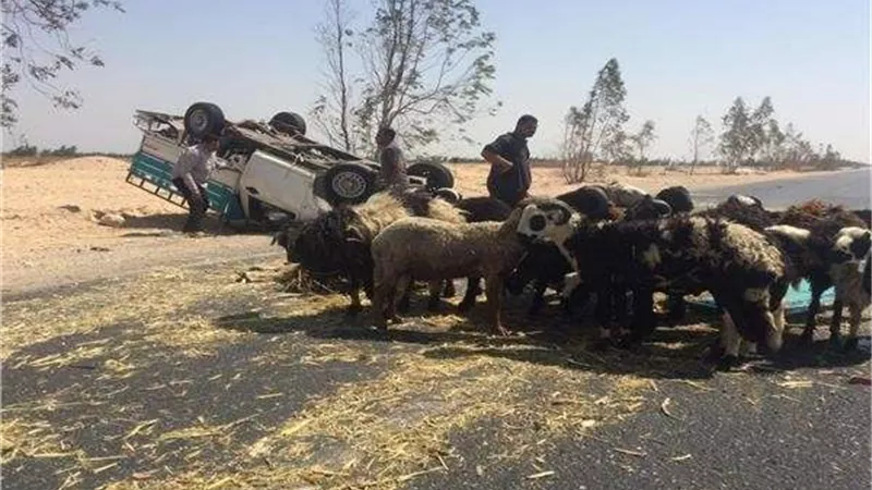 قبل العيد بأيام.. انقلاب سيارة محملة بـ