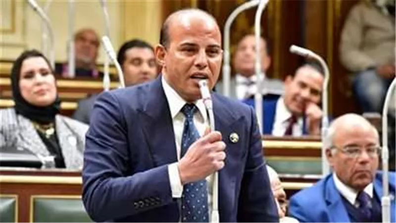 برلماني: قمة السلام هدفها وضع حل شامل وجذري للقضية الفلسطينية