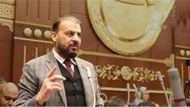 برلماني: الاستخدام الرشيد للأسمدة يسهم في زيادة الإنتاج الزراعي