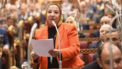برلمانية: الدولة المصرية بذلت جهودًا كبيرة لحل أزمة القضية الفلسطينية
