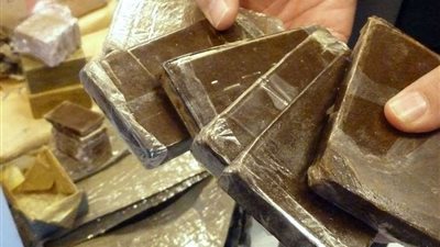 بمليون و750 ألف جنيه.. حبس المتهمين بتروّيج 25 كيلو حشيش بالشرقية