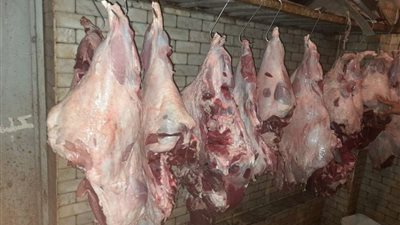 التموين: ضخ أكثر من 170 طنًا لحوم على مستوى الجمهورية