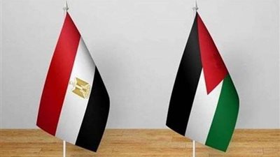 محلل سياسي فلسطيني: كلمة وزير الخارجية المصري عبرت عن الضمير العربي والإنساني.. فيديو