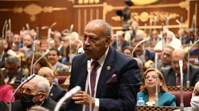 برلماني: الشعب المصري يصطف كله خلف الرئيس السيسي في التصدي للتهجير القسري